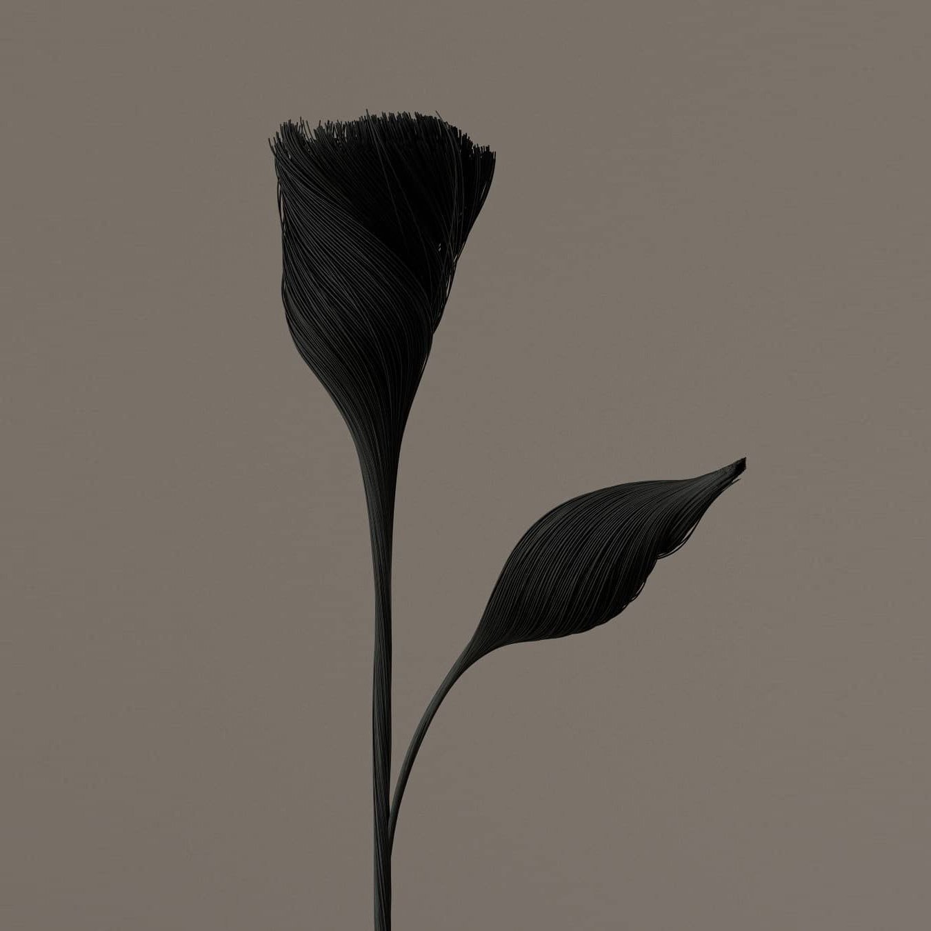 LAB Archive — frame 58
