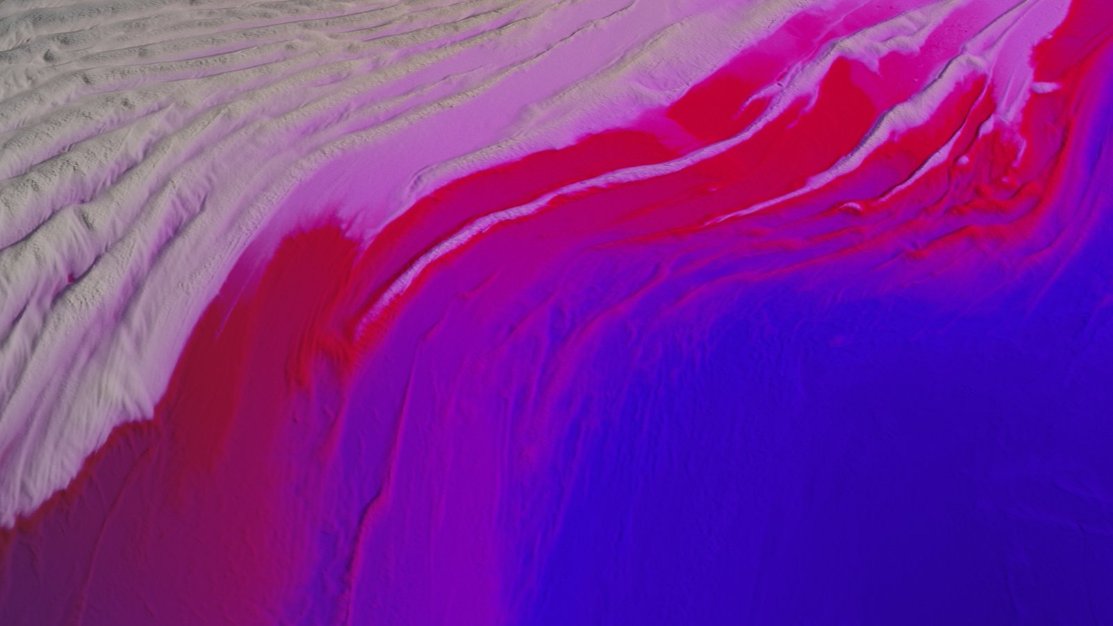 LAB Archive — frame 81